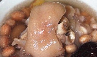 肘子汤的家常做法窍门 肘子汤的家常做法窍门图片