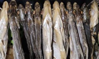 鲤鱼干怎么做好吃 鲤鱼干怎么做好吃的做法大全