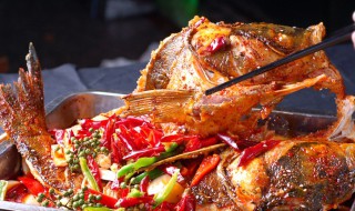 法国烤鱼怎么做 法国烤鱼怎么做视频