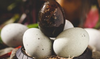 皮蛋吃多了对身体不好吗 皮蛋吃多了有坏处吗