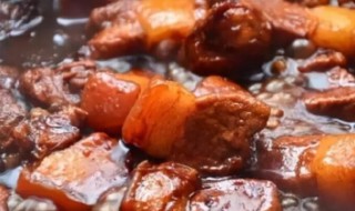 橙子皮炖肉 橙子皮炖肉要晒干吗?