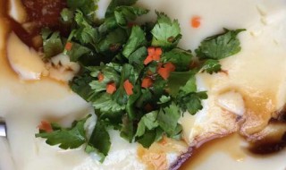 大量豆腐脑制作方法（大量豆腐脑制作方法图解）