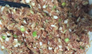 大葱配肉馅怎么做（大葱配肉馅怎么做才好吃）