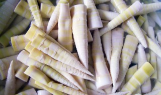 青竹笋的制作方法 青竹笋怎么做