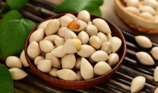 白果煎汤方法 白果煎汤方法视频