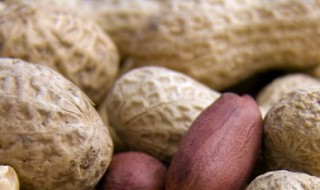 带壳干花生可以放微波炉吗(带壳干花生可以放微波炉吗几分钟)