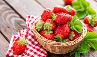 草莓上的小麻点是种子吗（草莓上的小麻点是种子吗视频）