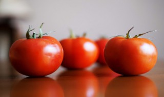 西红柿烂了一点还能吃吗 西红柿烂了一点能吃吗?