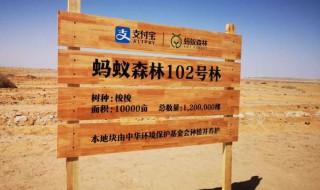 蚂蚁森林怎么给自己浇水 蚂蚁森林给自己浇水在哪里按