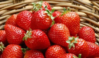 草莓怎么寄快递不会烂 草莓怎么寄快递不会坏