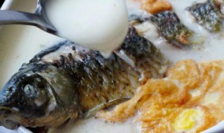 鲫鱼蛋奶汤 鲫鱼蛋汤的功效与作用