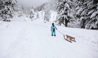 滑雪如何刹车和转弯（滑雪技巧转向和刹车）