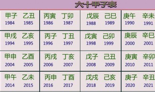 辛巳年是哪一年属什么（辛巳年是哪一年属什么生肖）