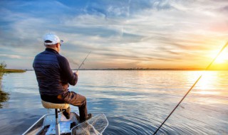 浅水钓鲤鱼技巧（浅水钓鲤鱼技巧和方法）