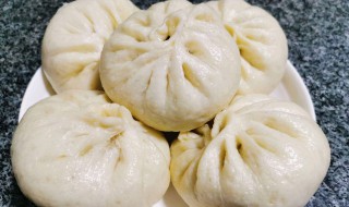 猪肉洋葱馅酱包子的做法窍门 猪肉洋葱馅酱包子的做法窍门视频