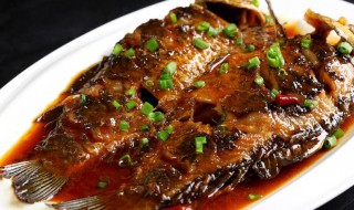 啤酒烧鲫鱼家常做法窍门 啤酒烧鲫鱼家常做法窍门是什么