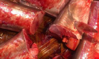 白麻鱼的做法和配方 白麻鱼的做法和配方大全