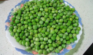 鲜豌豆螺肉 豌豆肉怎么吃