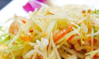 双色鲜味沙拉笋 沙拉竹笋