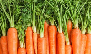 玉米炒胡萝卜丝的做法窍门