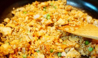 凤尾菇鸡肉炒饭（凤尾菇炒鸡肉的做法）