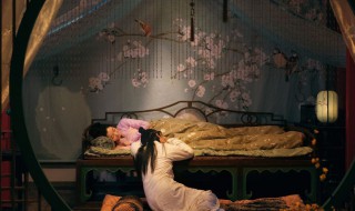 赘婿演员表人物介绍 赘婿演员大全 演员表