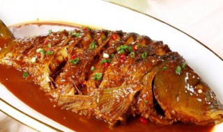 葱香烧鱼的做法 葱香烧鱼的做法视频
