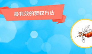 室外驱蚊最有效的方法 庭院灭蚊的最佳方法