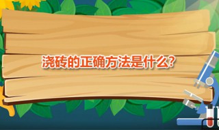 浇砖的正确方法 浇砖的正确方法图片