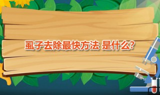 虱子去除最快方法（虱子的去除方法）