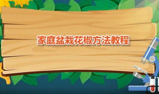 家庭盆栽花椒方法教程（盆种花椒树怎么种植）