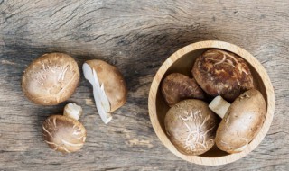 香菇怎么做又好吃又好看 香菇怎么做比较好吃