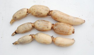 莲藕排包制作方法 怎么做莲藕排骨