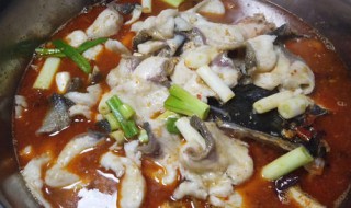 功夫鱼片做法和配方 功夫鱼片做法和配方窍门