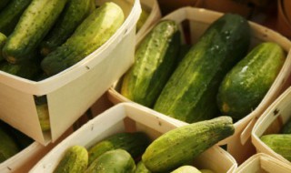 小茴香酸黄瓜腌制方法（小茴香酸黄瓜腌制方法大全）