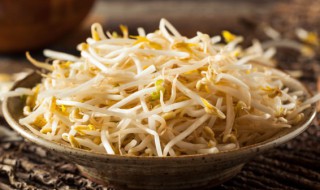 生绿豆芽的方法步骤窍门 生绿豆芽最详细的方法窍门