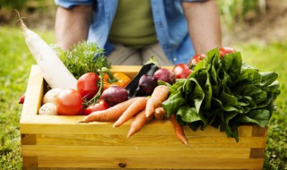 辣椒萝卜条腌制方法 怎样腌制辣椒萝卜条