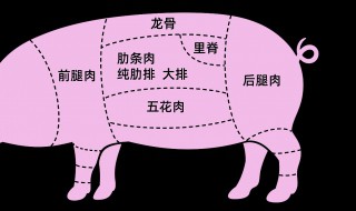 猪肉分割方法步骤（怎样分割猪肉视频教程）