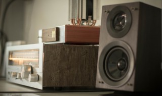 怎么挑选电瓶音响（电瓶音响哪个牌子好）