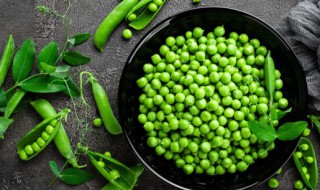 绿色豌豆凉粉的制作方法（绿色豌豆凉粉的做法）