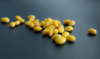 鲜纳豆的制作方法 鲜纳豆的制作方法和配方