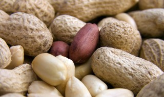 陈皮花生怎么做才好吃 陈皮花生怎么做才好吃视频