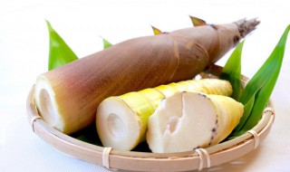 竹笋丝怎么做不苦(竹笋丝怎么吃好吃)