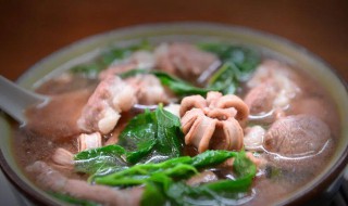 及第汤的做法和配方(及第汤有什么材料)