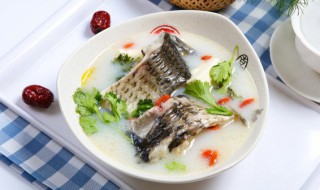 怎么挑选鲫鱼做汤（鲫鱼怎样挑选）