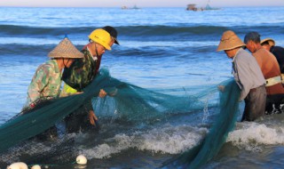 怎么挑选新鲜的鲤鱼 怎样挑选鲤鱼鲤鱼