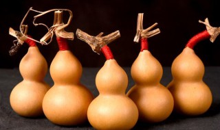 葫芦的龙头什么样是最好看吉利（葫芦的龙头什么样是最好看吉利的图片）