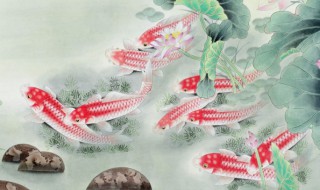 墙上挂鱼有什么风水讲究 墙上挂鱼有什么风水讲究吗