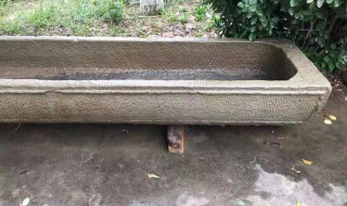 为什么石槽不能放家里（石槽不能放在家里吗）