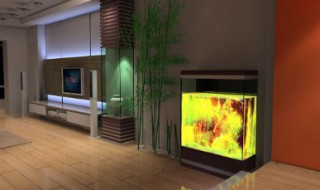 进门见水缸风水好不好(进门见水缸的风水好吗)